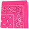 Pack of 12 Paisley Cotton Bandanas Novelty Headwraps - Dozen Available in Many Colors - 22 inches